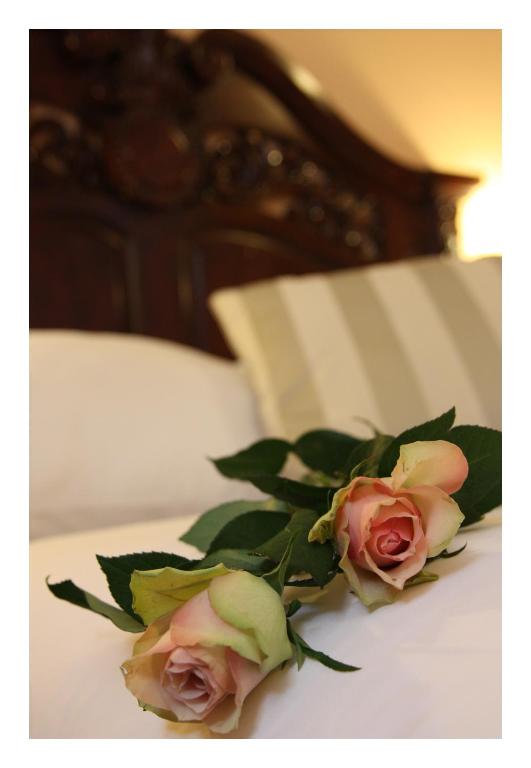 Prague Golden Age - Resim 44