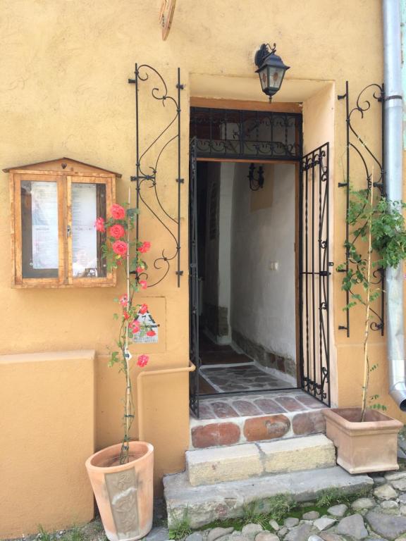 eine offene Tür zu einem Haus mit Topfpflanze in der Unterkunft Dominic Boutique in Sighişoara