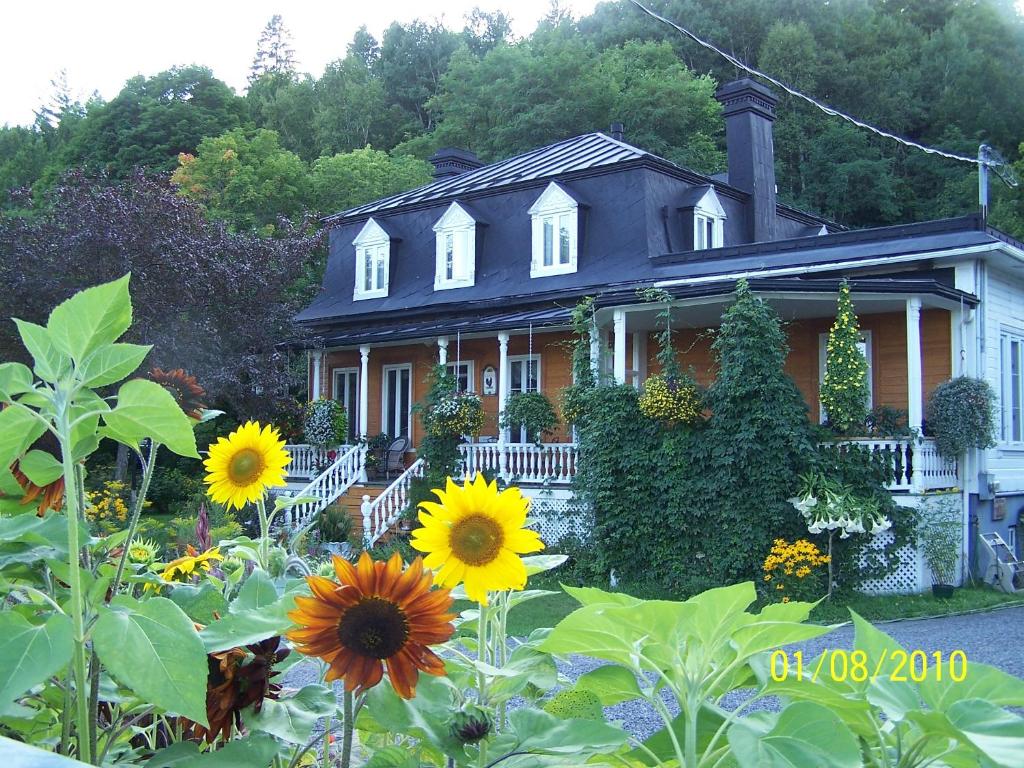 a house with a garden of sunflowers in front of it at Auberge du Sault-à-la-Puce in Chateau Richer