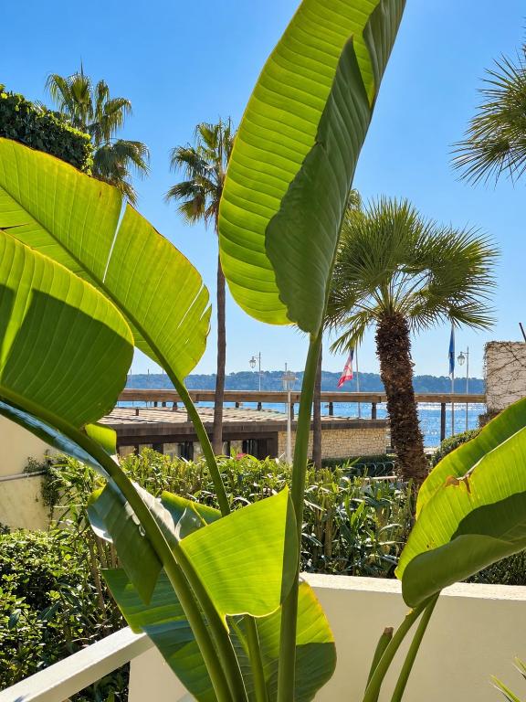 Palm Beach front de mer