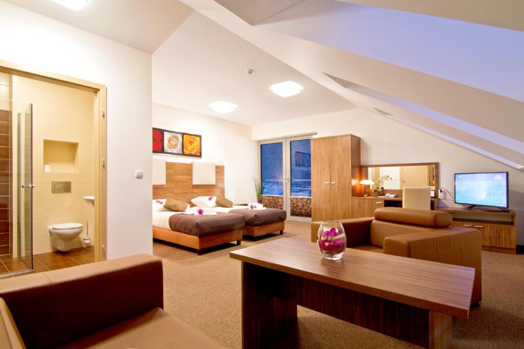 TV a/nebo společenská místnost v ubytování Dolina Leśnicy SKI & SPA Resort