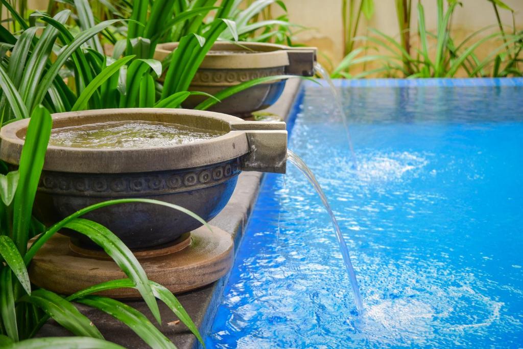 One Bedroom Villa with Private Pool - Daily Guest Activities