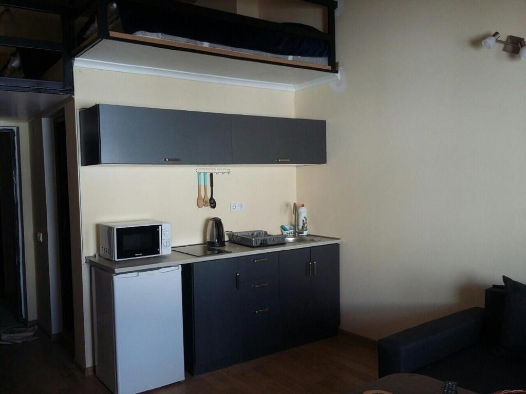 Kuchyň nebo kuchyňský kout v ubytování Gudauri S Residence