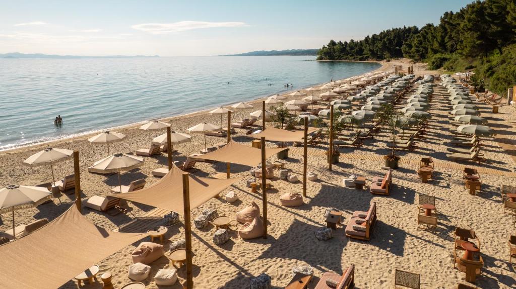 Alexander the Great Beach Hotel