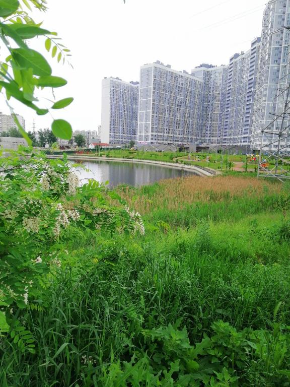 96 KEYS Swan БУДИНОК З УКРИТТЯМ І ГЕНЕРАТОРОМ фото 6