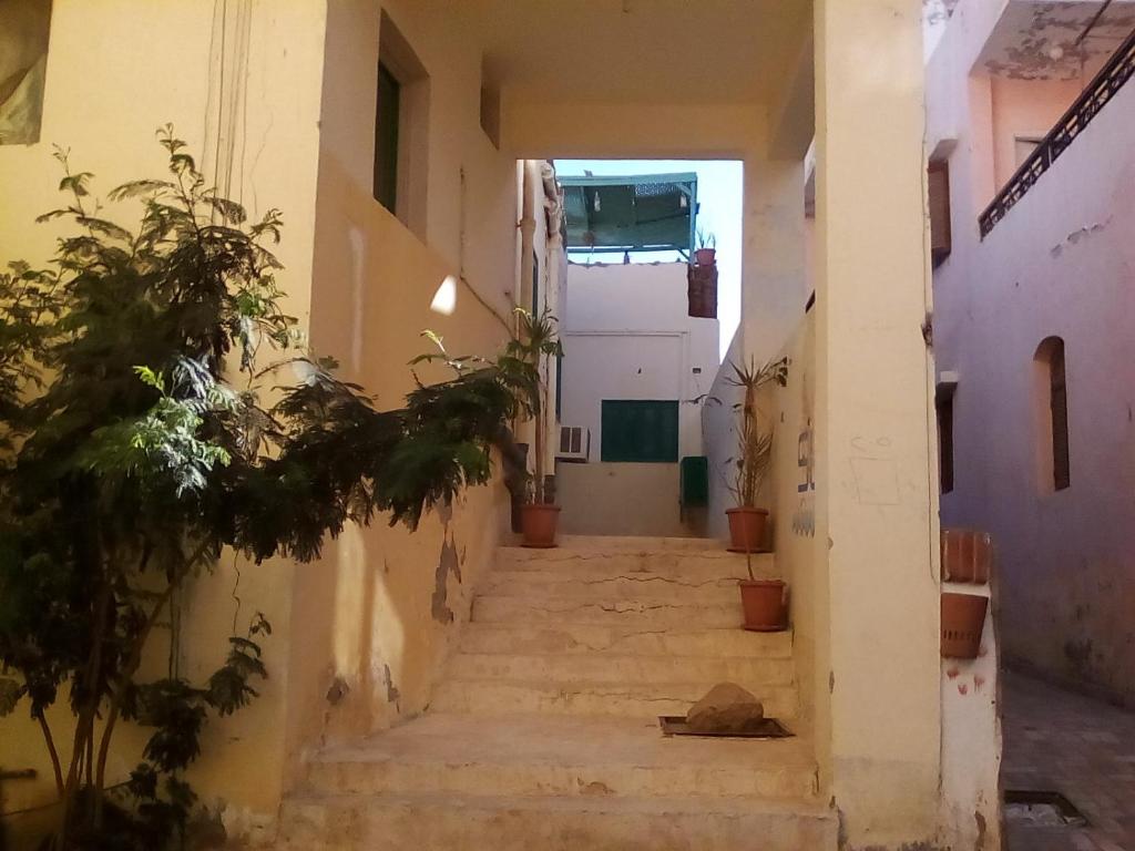 Fotografie z fotogalerie ubytování Sea Waves Hostel v destinaci Hurghada