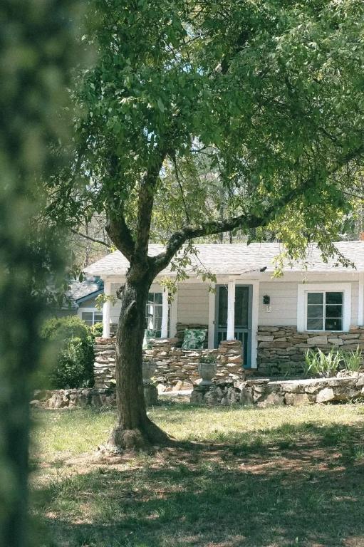 The Pines Cottages - 