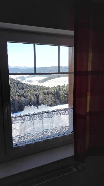 Pension Forsthaus Täle - das Gästehaus vom Schwarzwaldgasthaus Salenhof - Camera Doppia