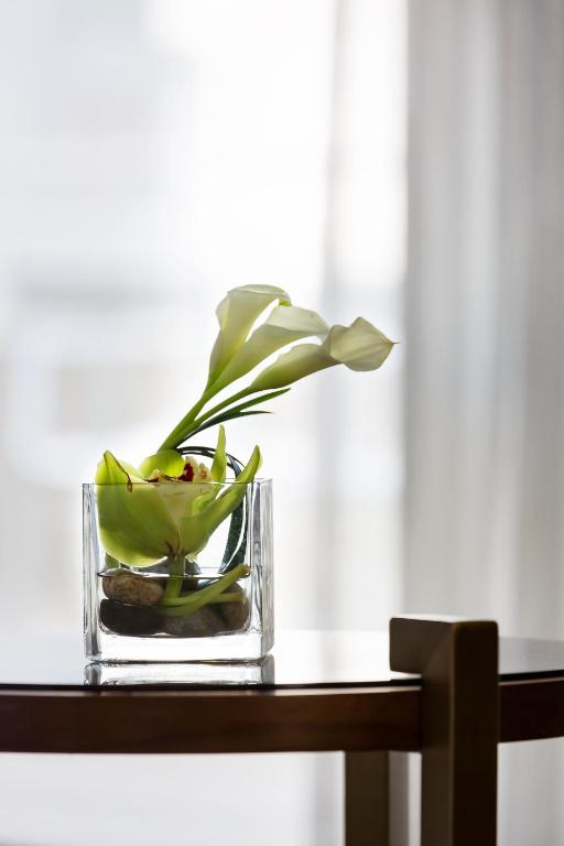 Hyatt Regency Bethesda near Washington D.C. - Комната королевы с двумя кроватями королевы - высокий пол