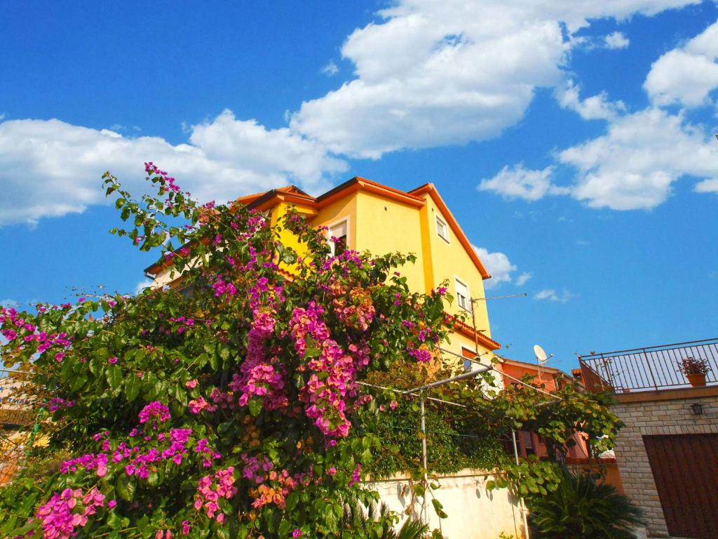 Apartment Snezana 1200 - Apartment