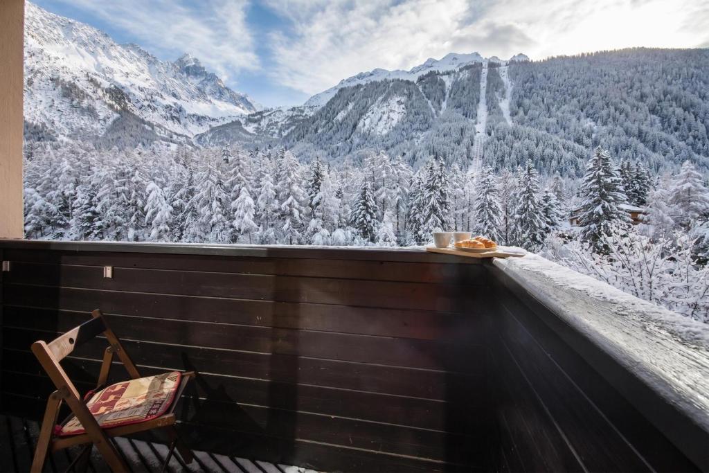 Grand Roc C213 from Slopes 280m, Mont-Blanc View, Parking & WiFi - Happy Rentals
