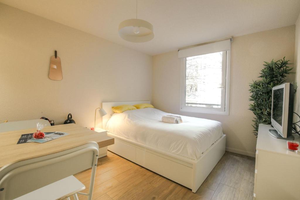 Studio harmonieux pour 2 personnes - Lyon 3