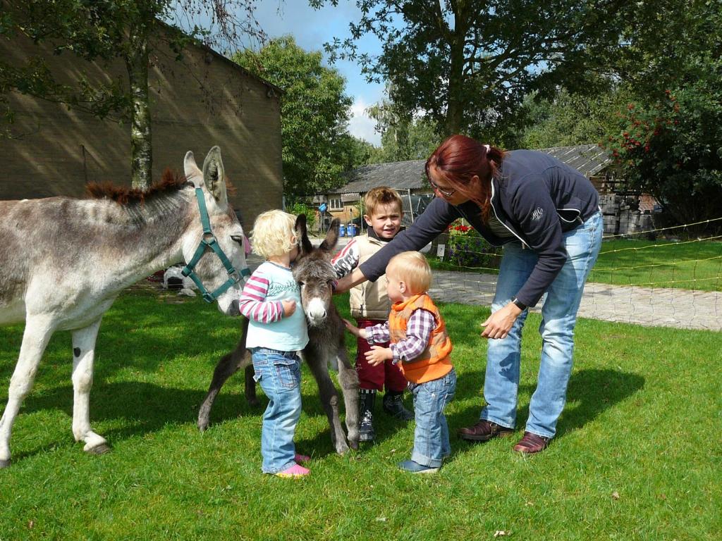 Děti v ubytování Recreational Farm Camping de Kreitsberg