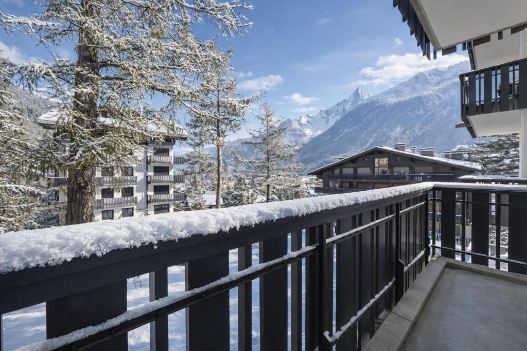The Brevent Nest Ski-in/out + Balcony & Parking - Happy Rentals