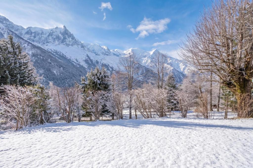 Chalet Les Airelles Mont-Blanc View - Happy Rentals