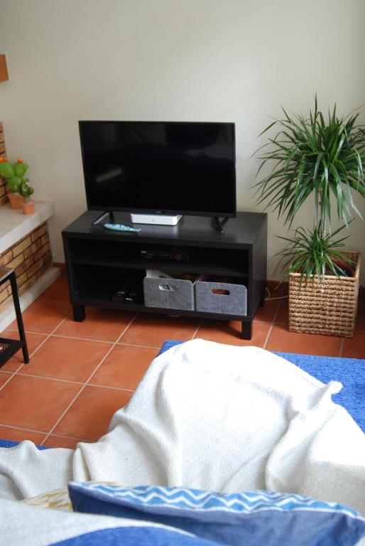 TV a/nebo společenská místnost v ubytování Hakuna Matata Hostel