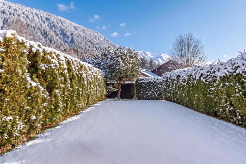 Hameau d'Argentière 3 - 2BR Garden w/ Mont Blanc views, Next to Slopes - Happy Rentals