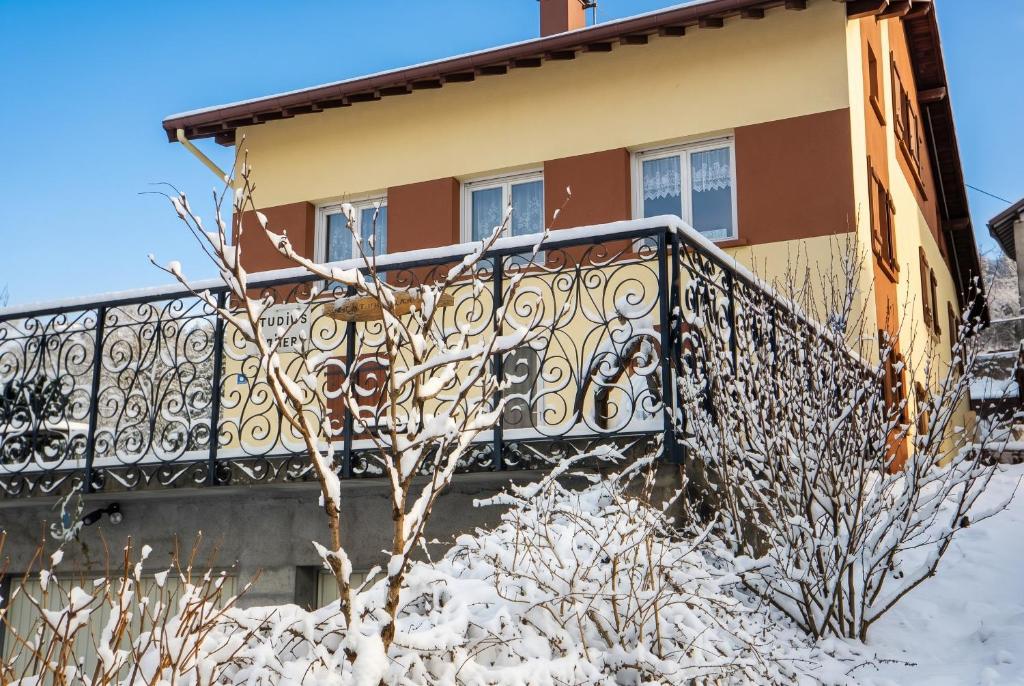 Studio confortable avec vue sur le lac - 30 m² - Gérardmer
