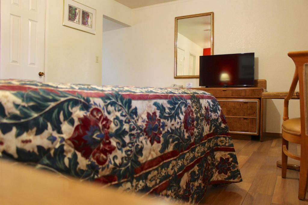 TV a/nebo společenská místnost v ubytování Starlite Motel