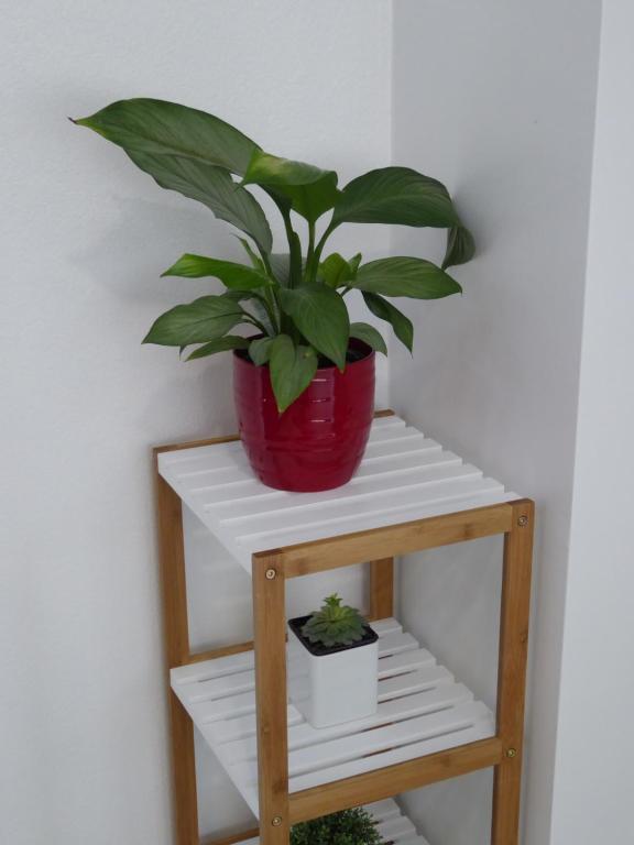 Parnell Pines Hotel - Resim 13