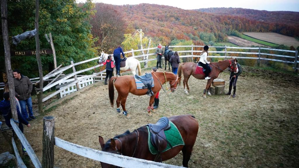 un grupo de personas montando caballos en un campo en Country House Na Malenom brijegu, en Bjelovar