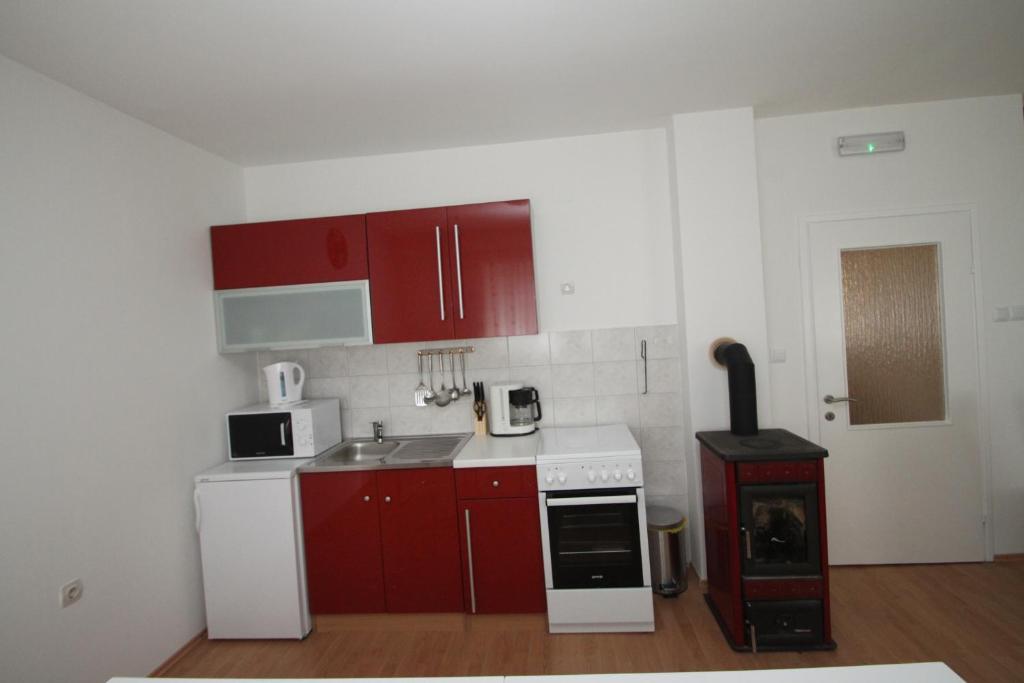 Kuchyňa alebo kuchynka v ubytovaní Holiday Home Dalija