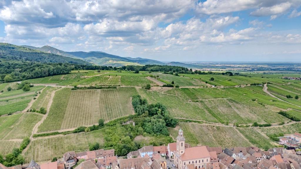 RIESLING - Vue imprenable sur le vignoble - rénové récemment - parking gratuit – Foto 9
