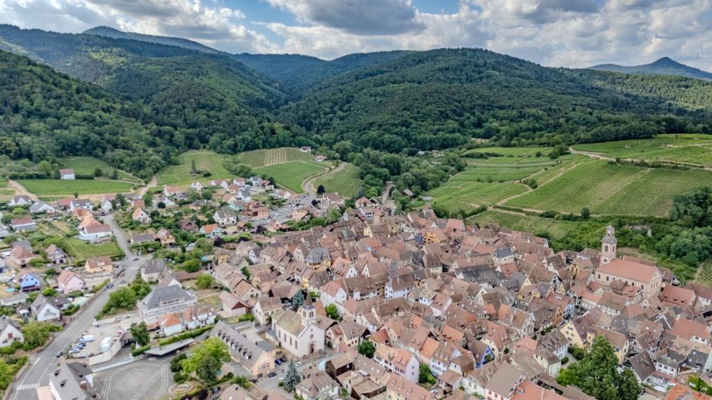 CREMANT - Appartement Spacieux et lumineux - Parking gratuit – Foto 50