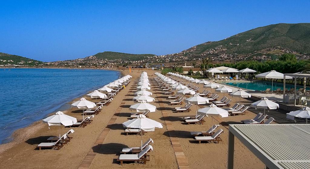 a long line of beach chairs and umbrellas at Plaza Resort in Anavyssos