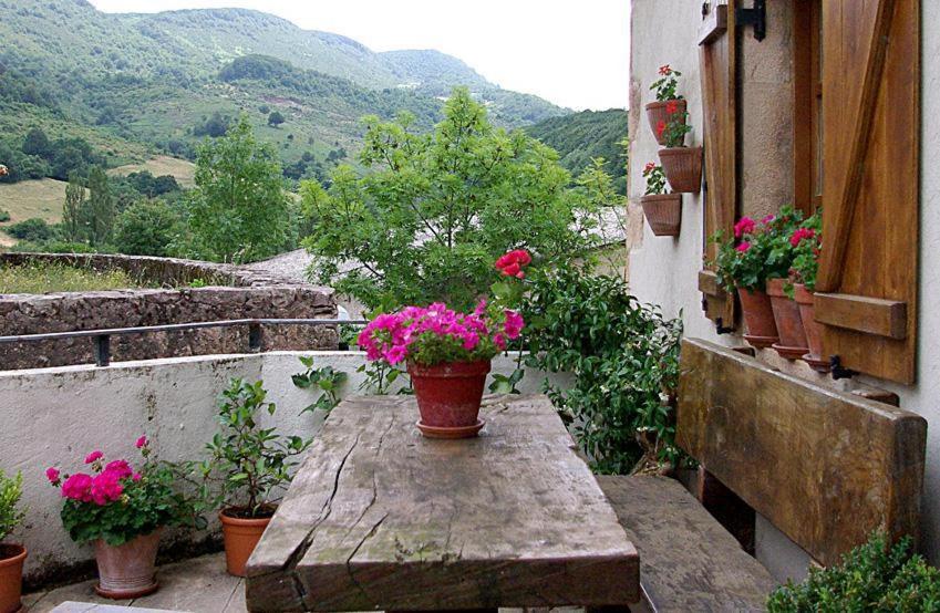 a balcony with potted plants and a table with flowers at Casa Rural Parriola in Villanueva de Arce