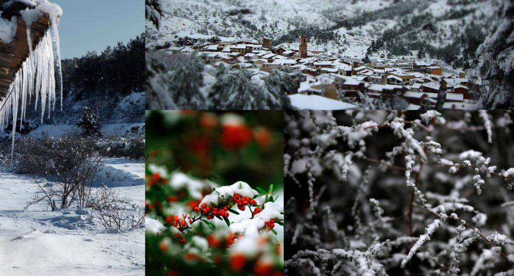 Cal Barceló during the winter