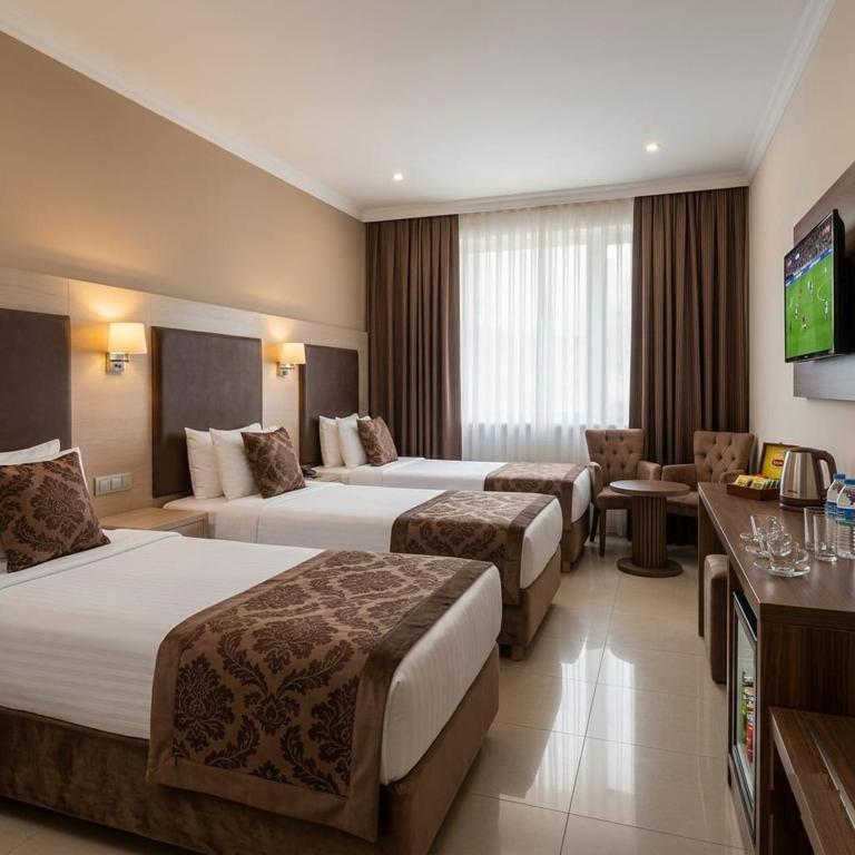 لابی و فضای عمومی Golden Falcon Hotel Baku - تصویر ۵