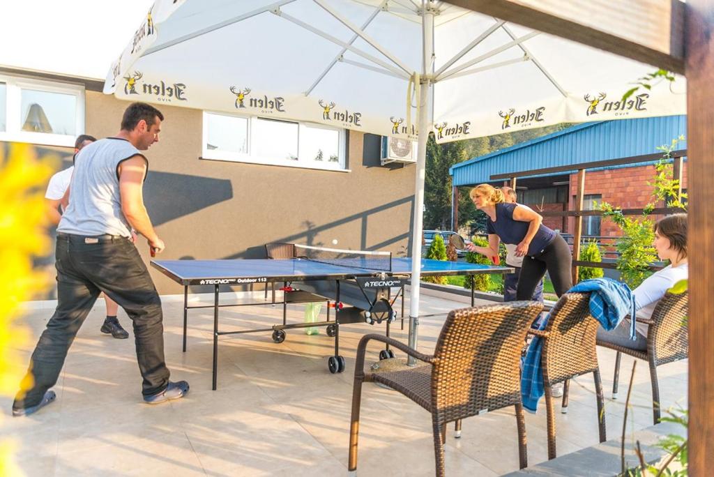 Hosté ubytování Hotel Drinska lasta