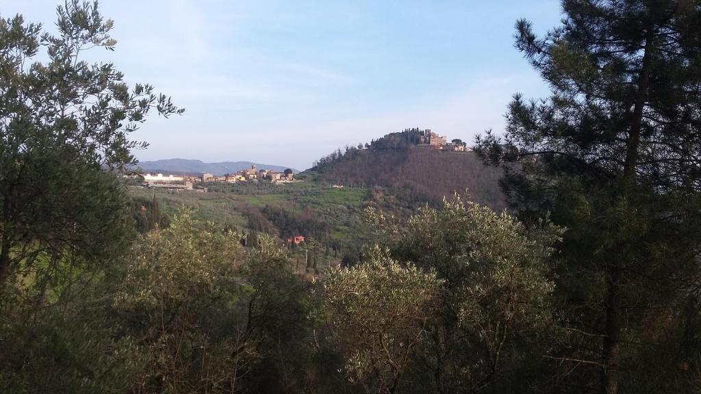 Blick auf einen Hügel mit Bäumen und Häusern darauf in der Unterkunft Casa Jessica in Montecatini Terme