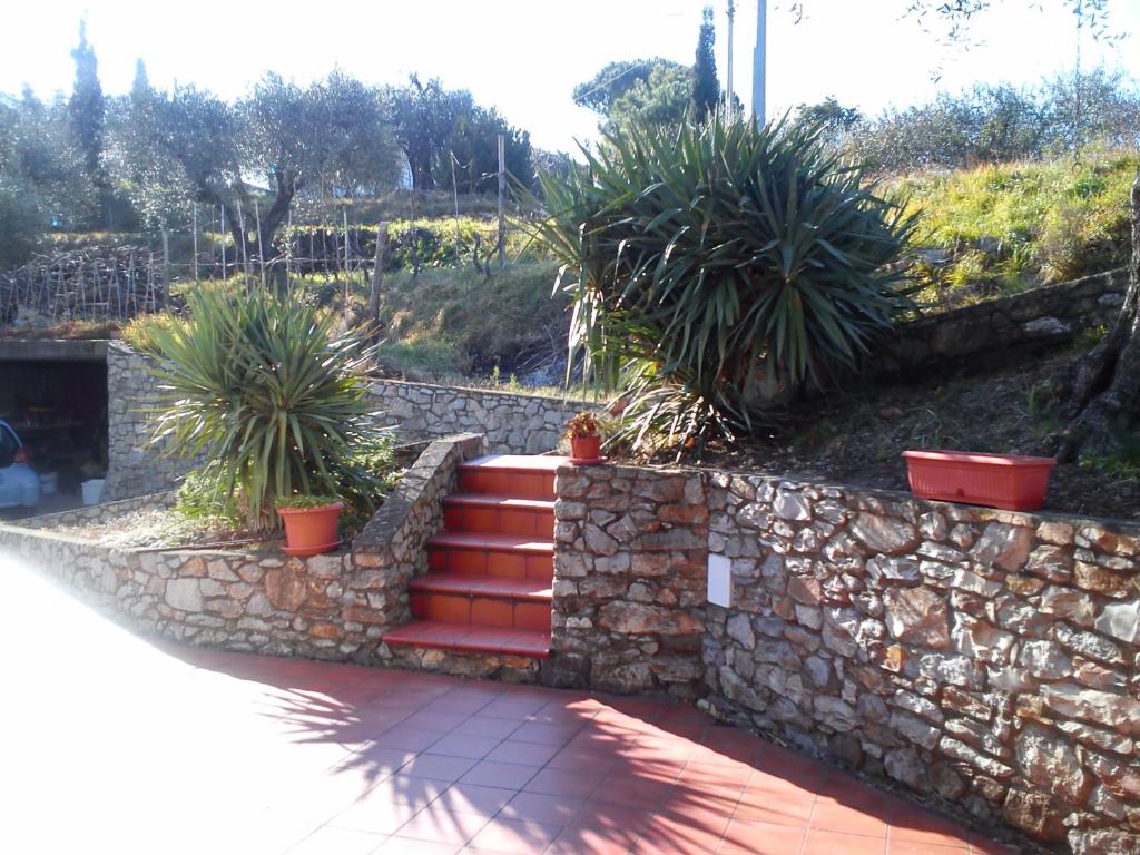 una pared de piedra con una escalera y algunas plantas en Due Archi, en Arcola