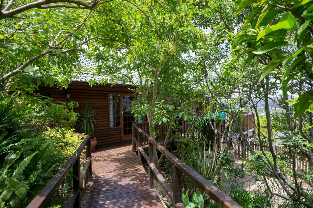 Big Tree House Lodge - Image 19