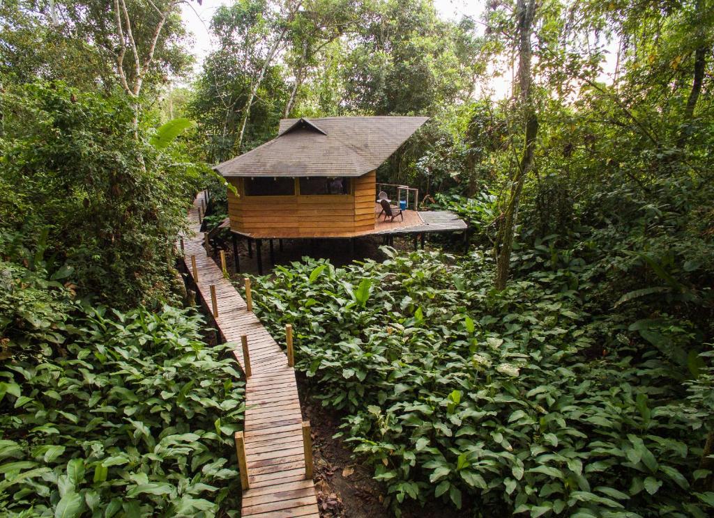 Zahrada ubytování La Manigua Lodge