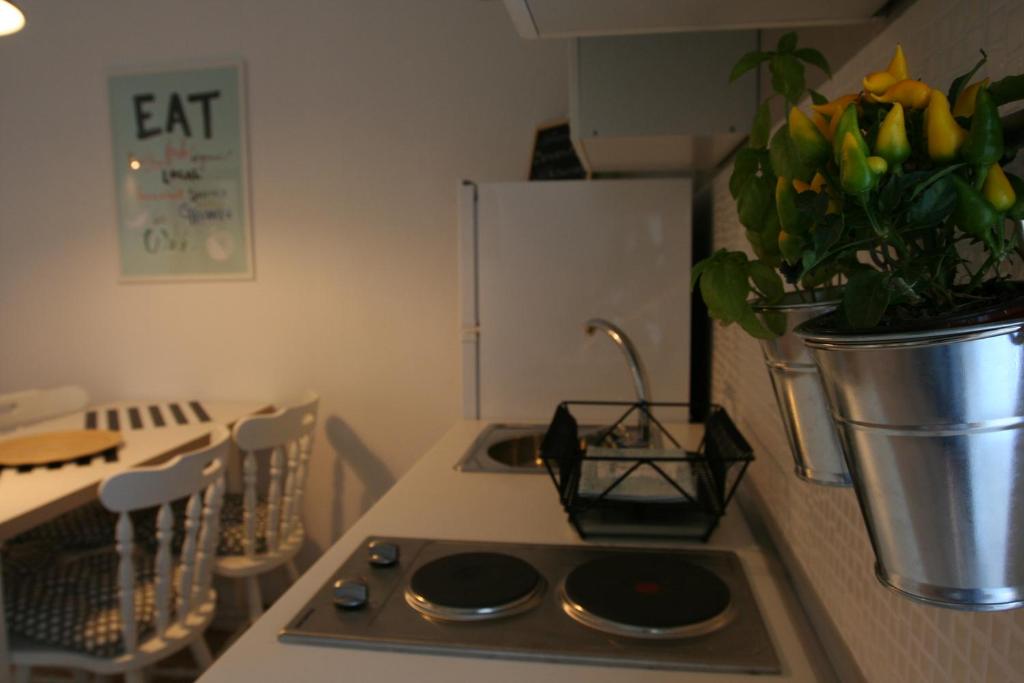 Kuchyňa alebo kuchynka v ubytovaní Tiana Apartment