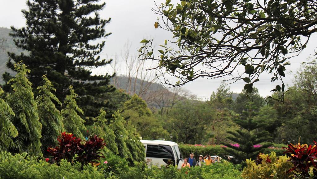 Hotel Valle Verde - Small Single Room