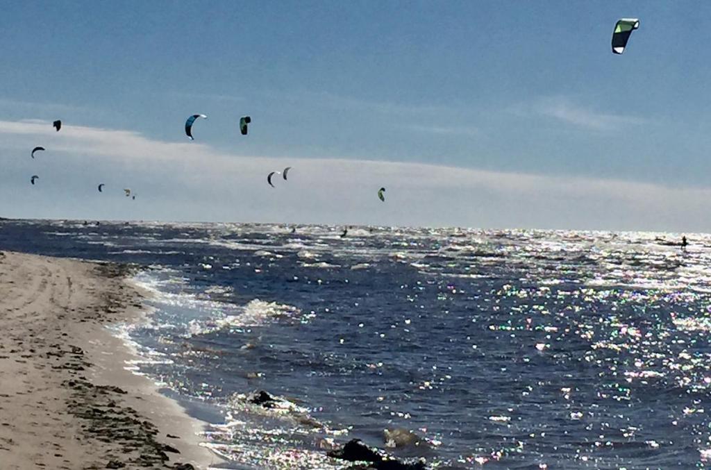 a group of kites flying over the ocean at Eco-House Ainaži in Ainaži