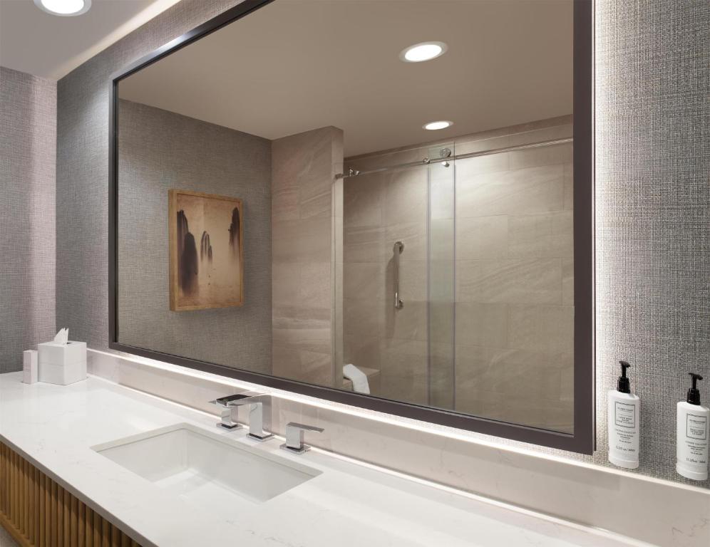 Hilton Anatole - 