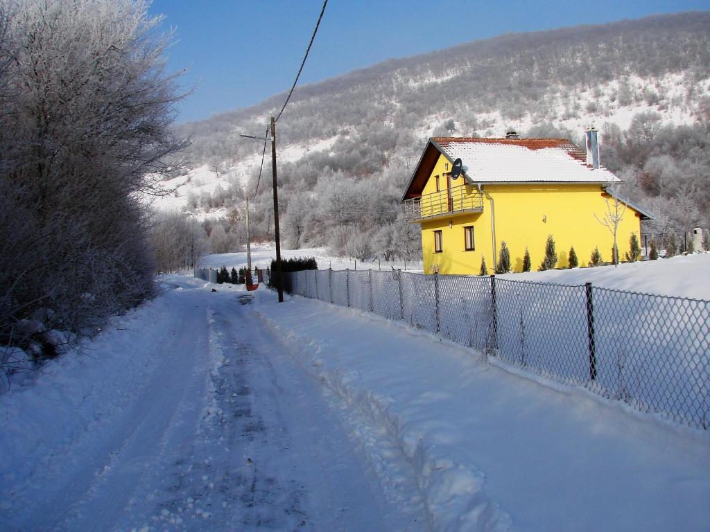 Holiday Home Dalija v zime