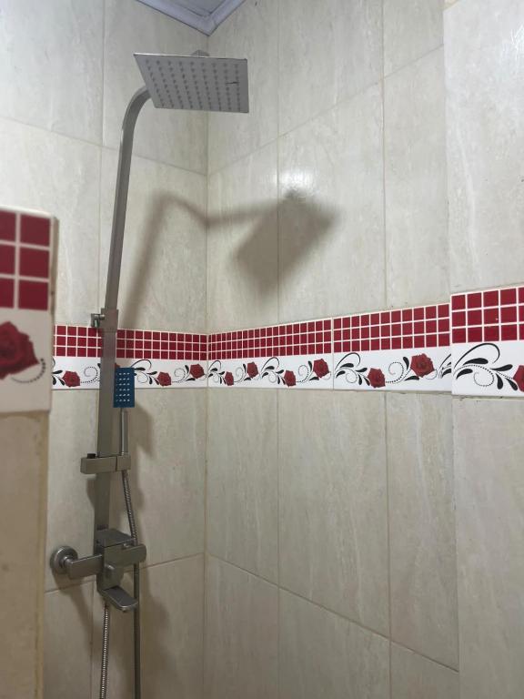 Abrir foto 3 em tela cheia