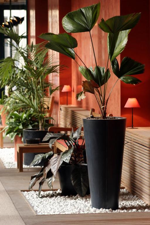 Residence Pian della Nave - Resim 45