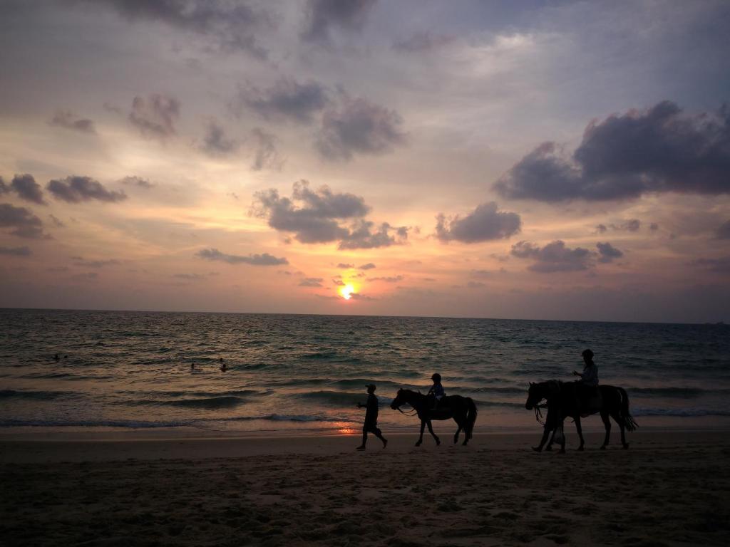 Bangtao Beach Chalet Resort - 7