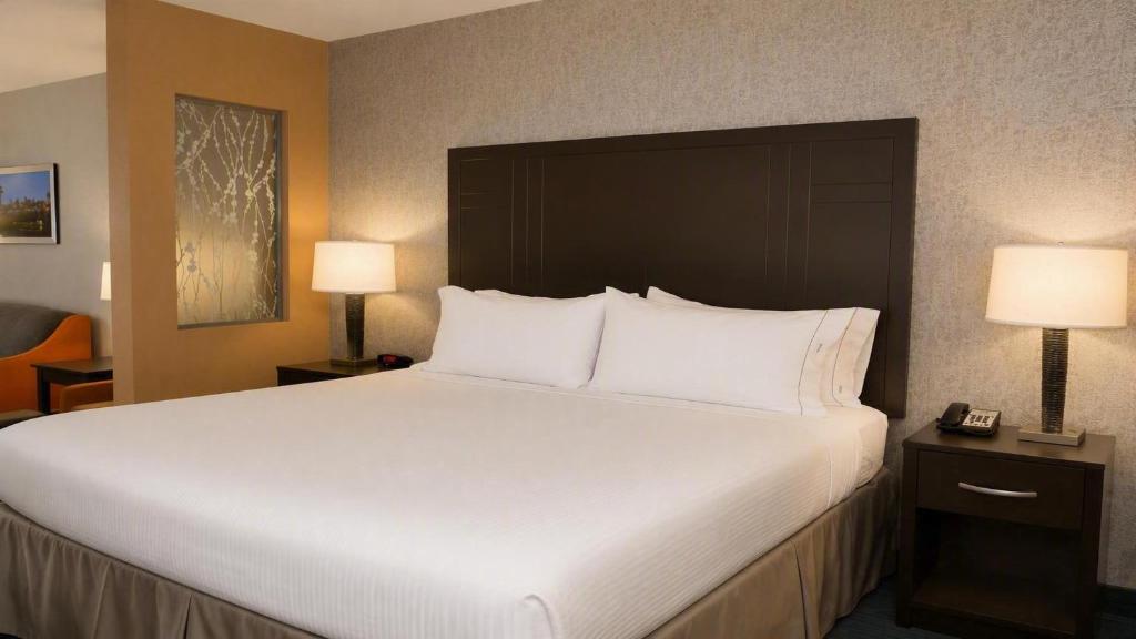 Holiday Inn Express Hotel & Suites Knoxville, an IHG Hotel - 