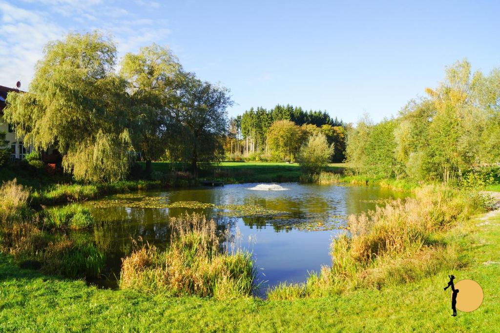 Příroda nedaleko apartmánu