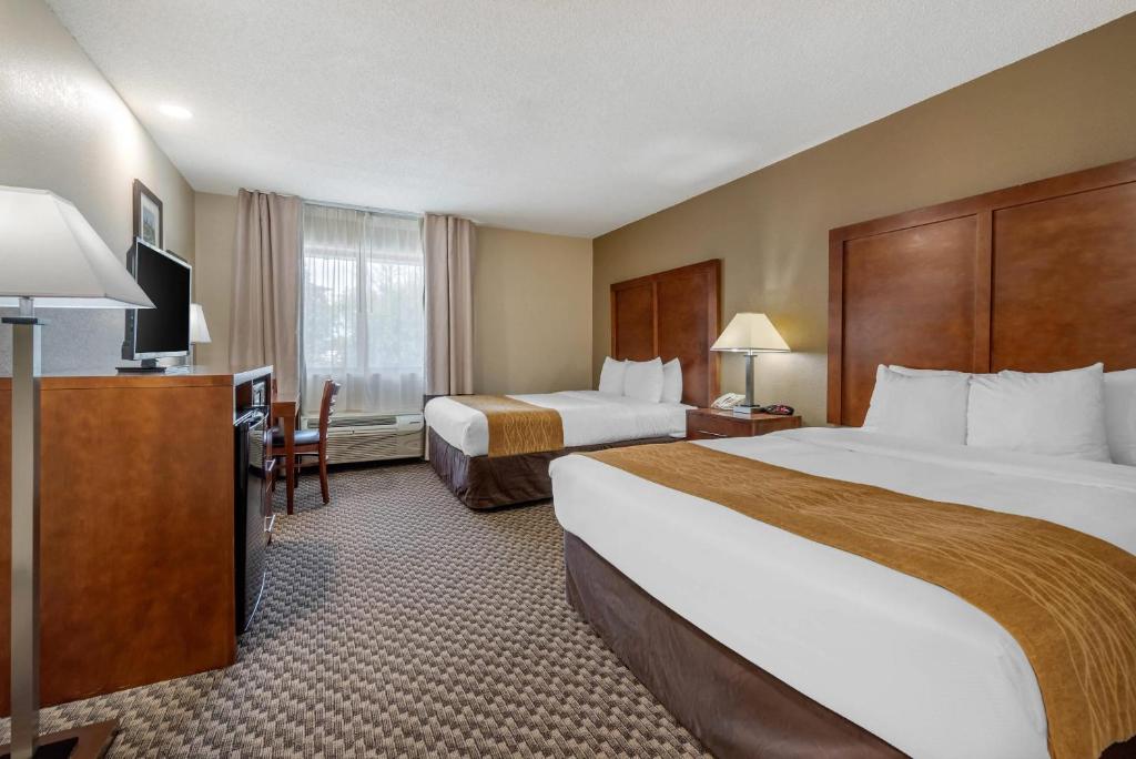 Comfort Inn South - 