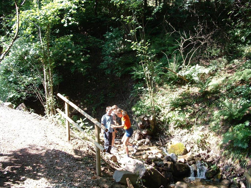 Ferienwohnungen Niederhof vendégei