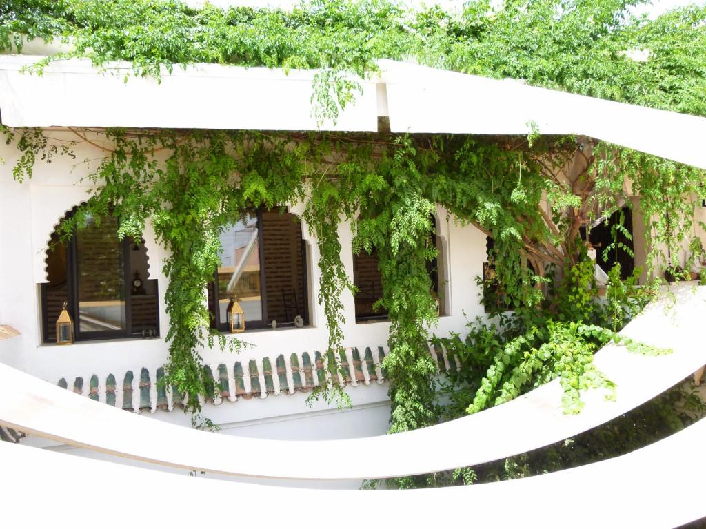 Zahrada ubytování Riad Dar Oulhoum